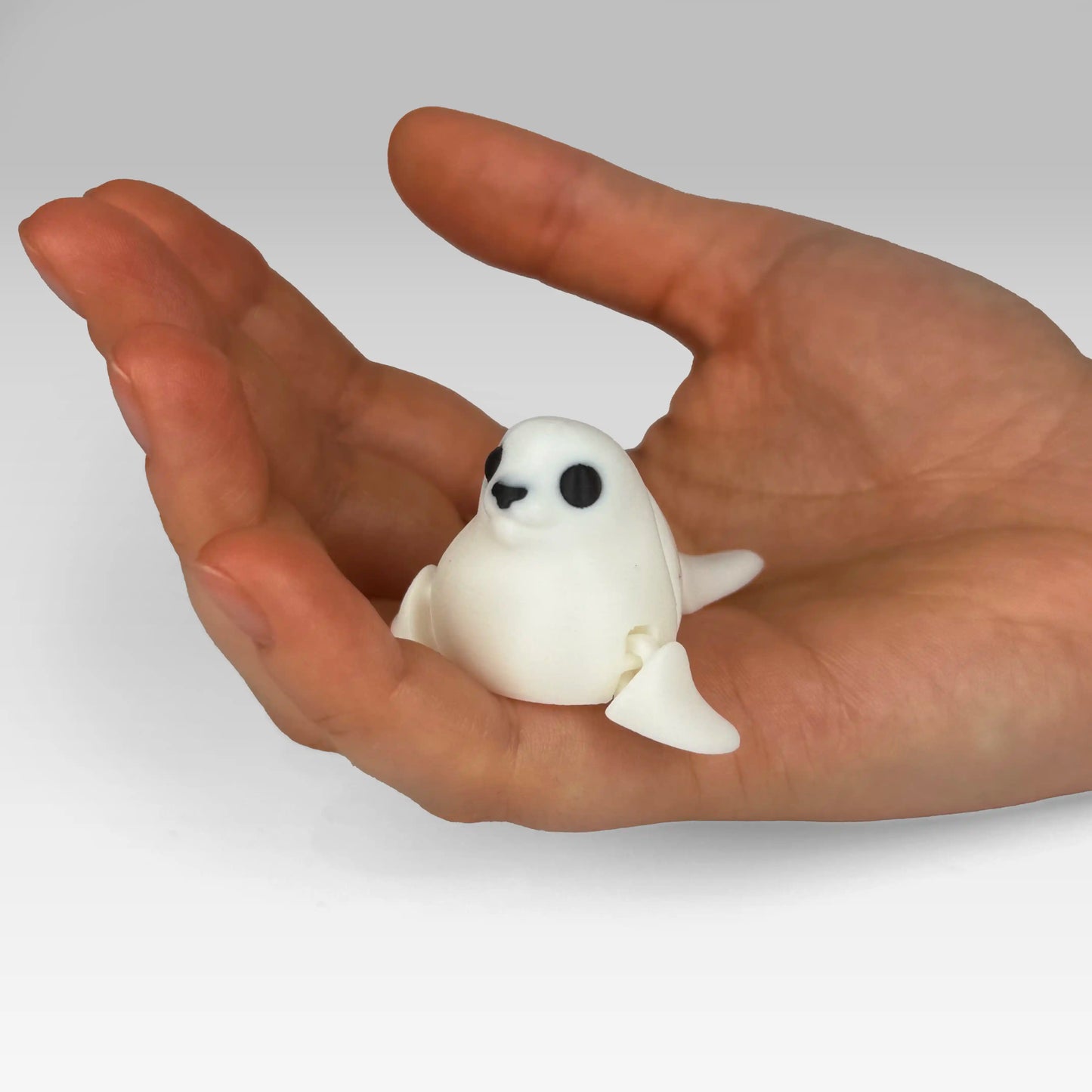 Foca Flexi