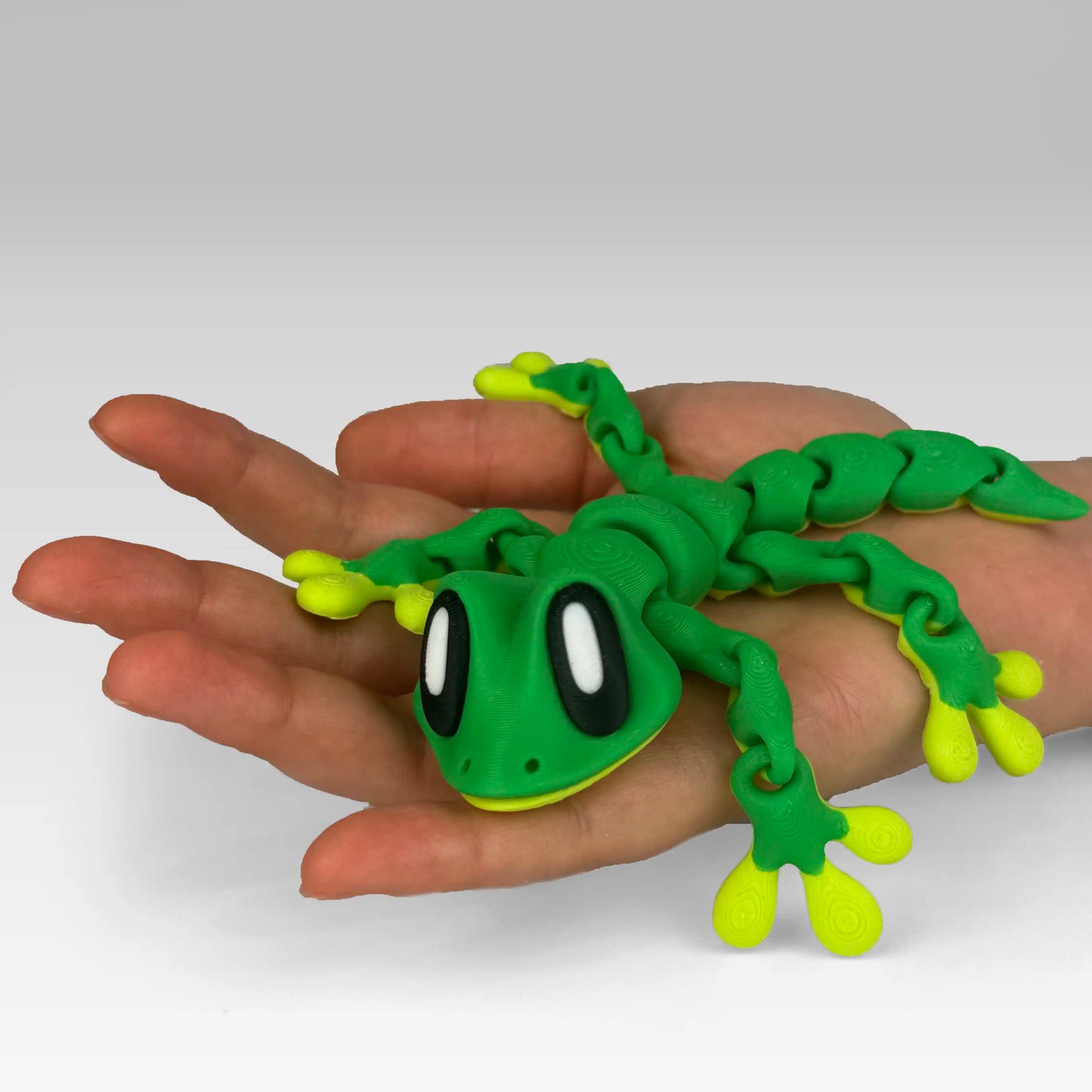 Gecko Magnetic