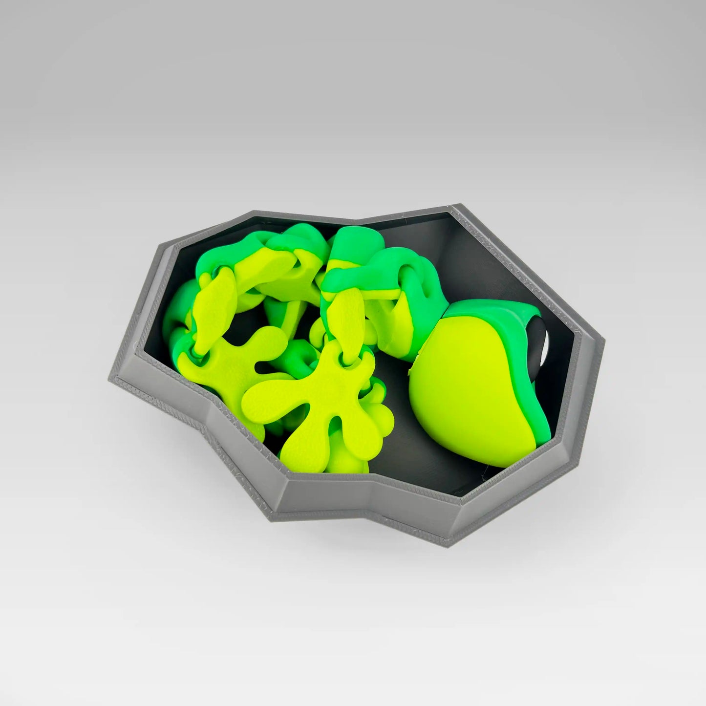 Gecko Magnetic